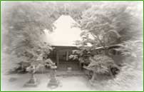 �w�蕶�����̐��X