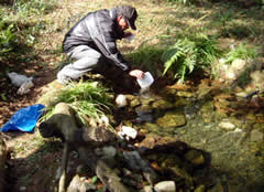 �u�r�I�g�[�v�v