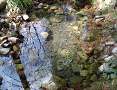 �u�r�I�g�[�v�v