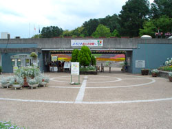 �Ԃ̕�����