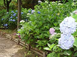 �A�W�T�C��