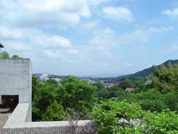 �͓����쑑