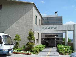 �͓����쑑