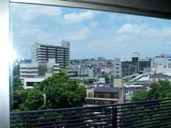 �͓����쑑����