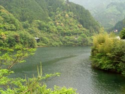 �ꔨ�_����