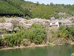 �ꔨ�_����