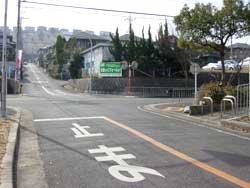 �����̑�02