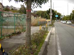 �����̑�03